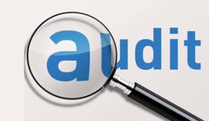 assessment and audit rules